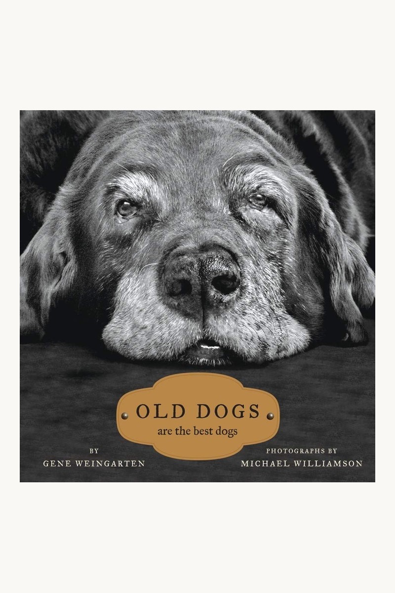 Old Dogs: Are the Best Dogs book cover