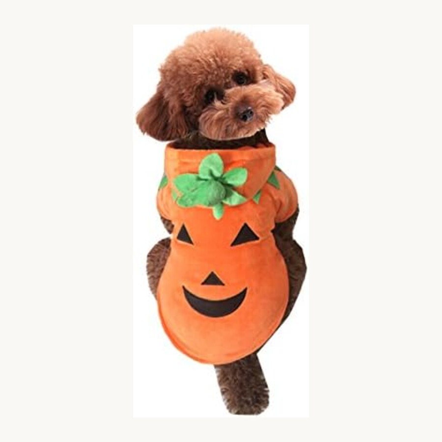 Pumpkin costume for dogs
