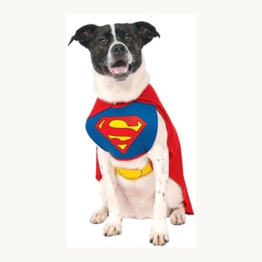 Superhero cape dog costume