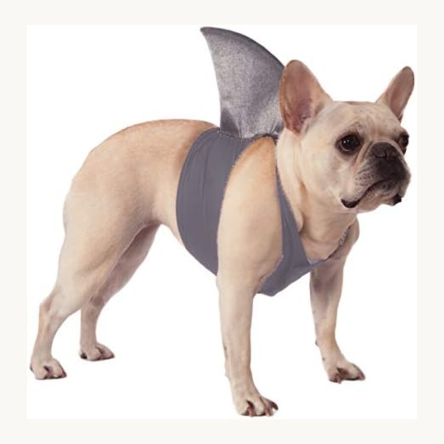 Shark fin dog costume