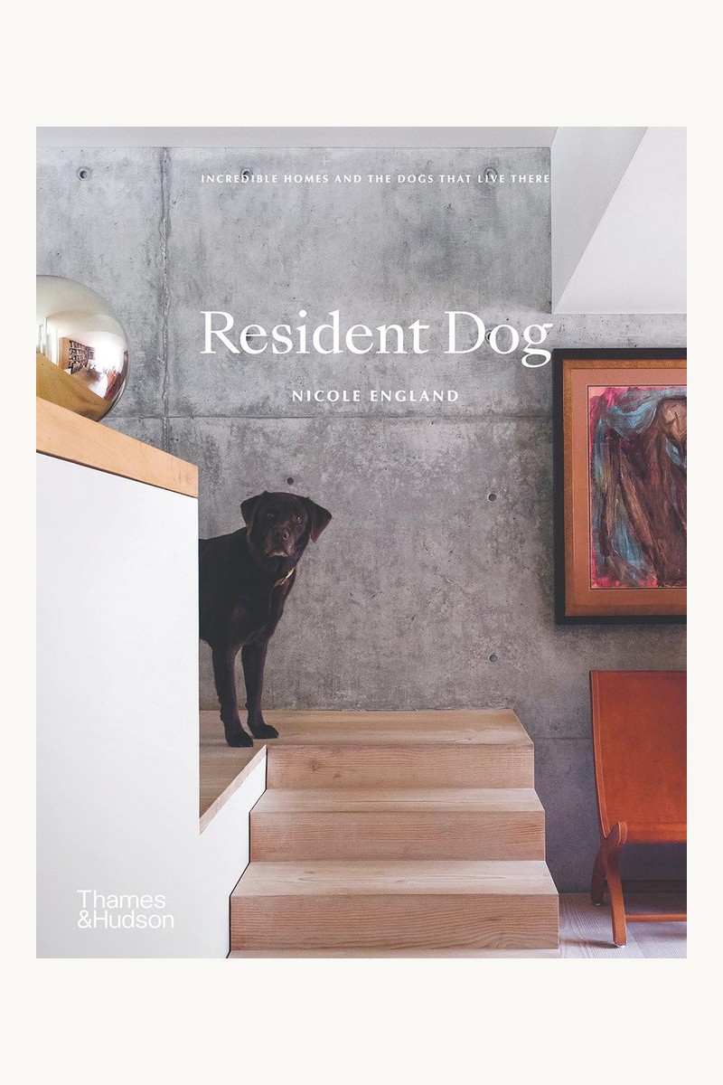 Resident Dog: Incredible Homes and the Dogs That Live There book cover