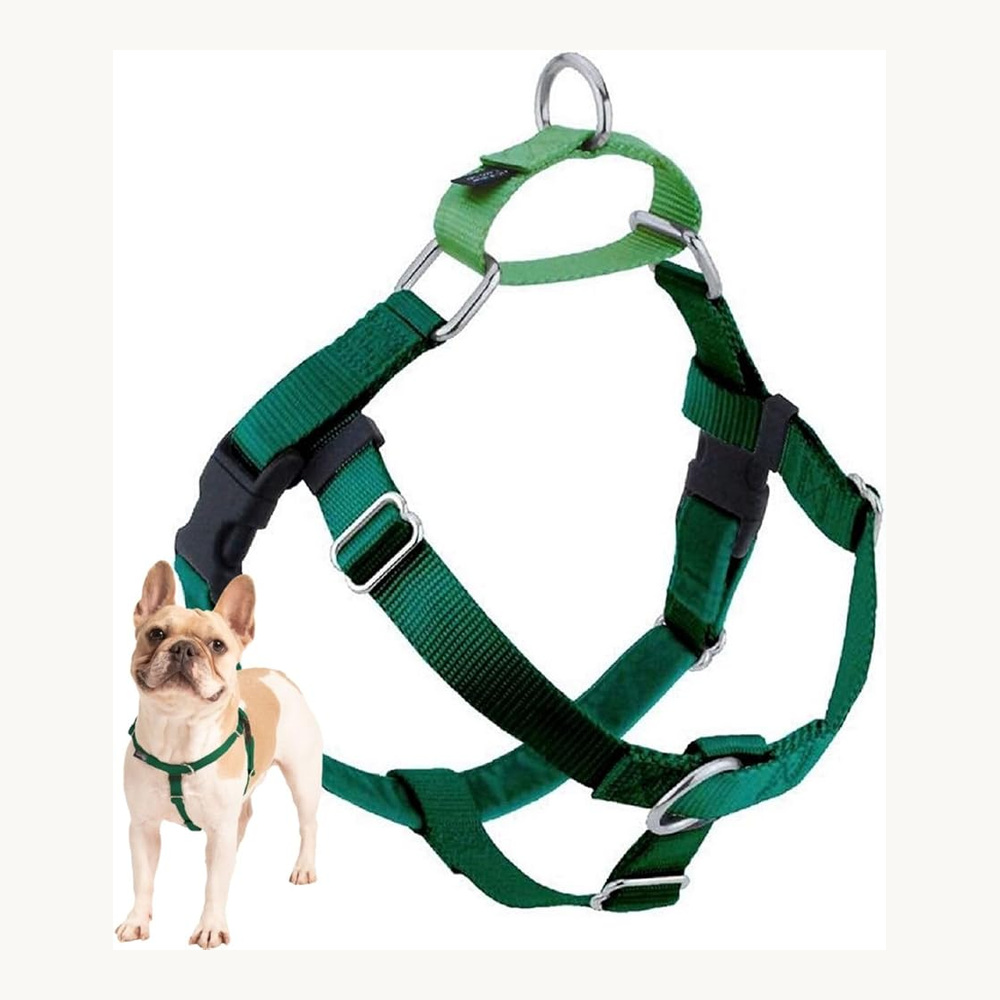 2 Hounds Design Freedom dog harness