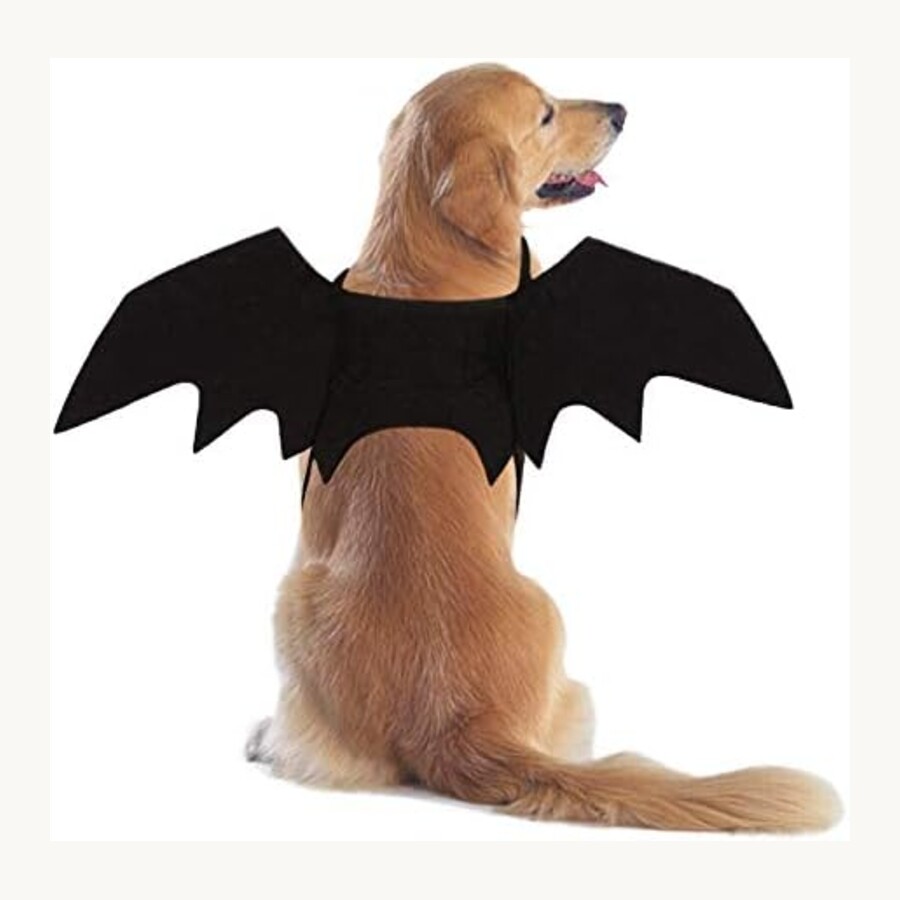 Bat wings dog costume