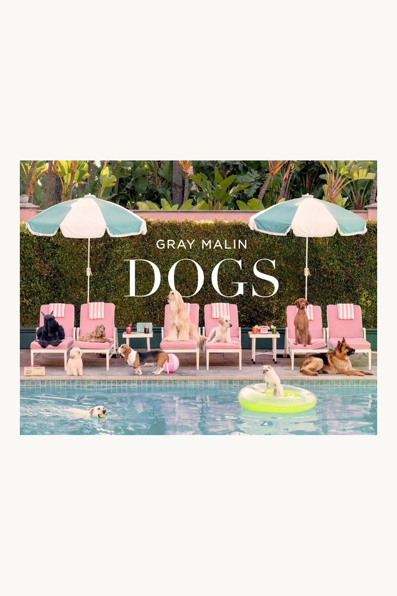 Gray Malin: Dogs book cover