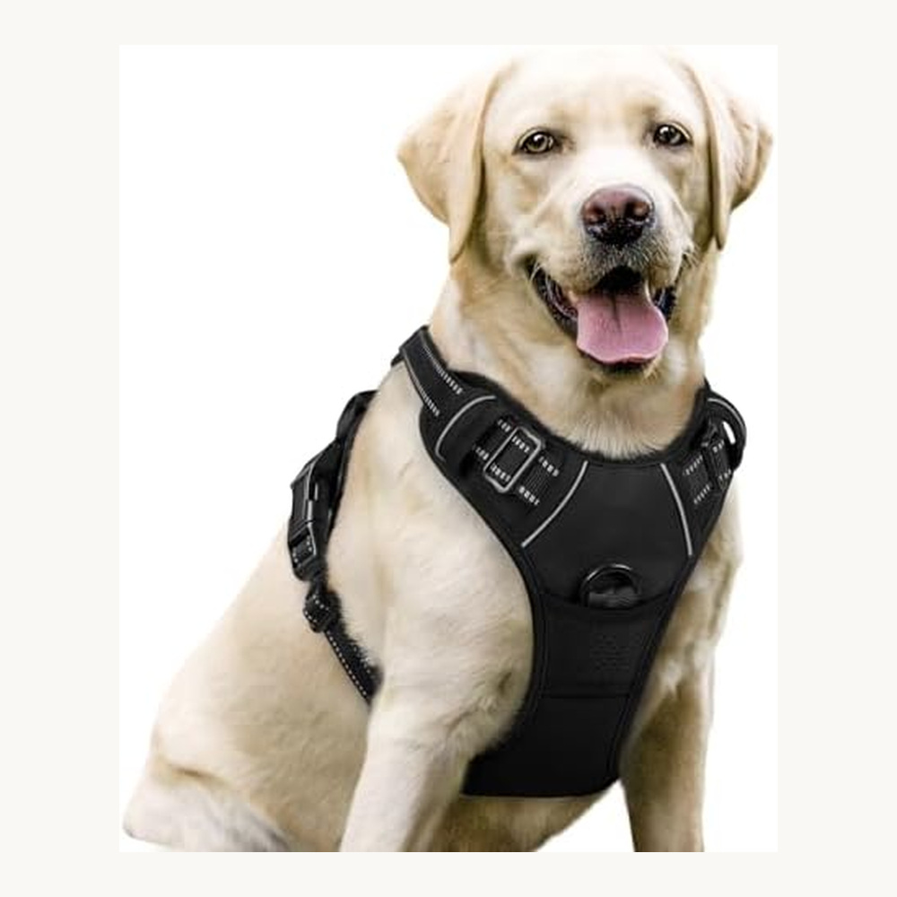 Ruffwear Front Range dog harness