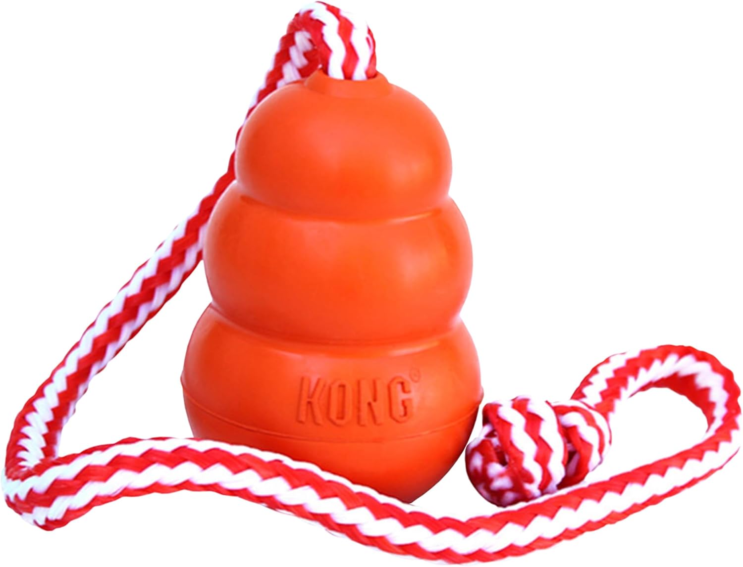 KONG Aqua Floating Fetch Toy — dog water toy