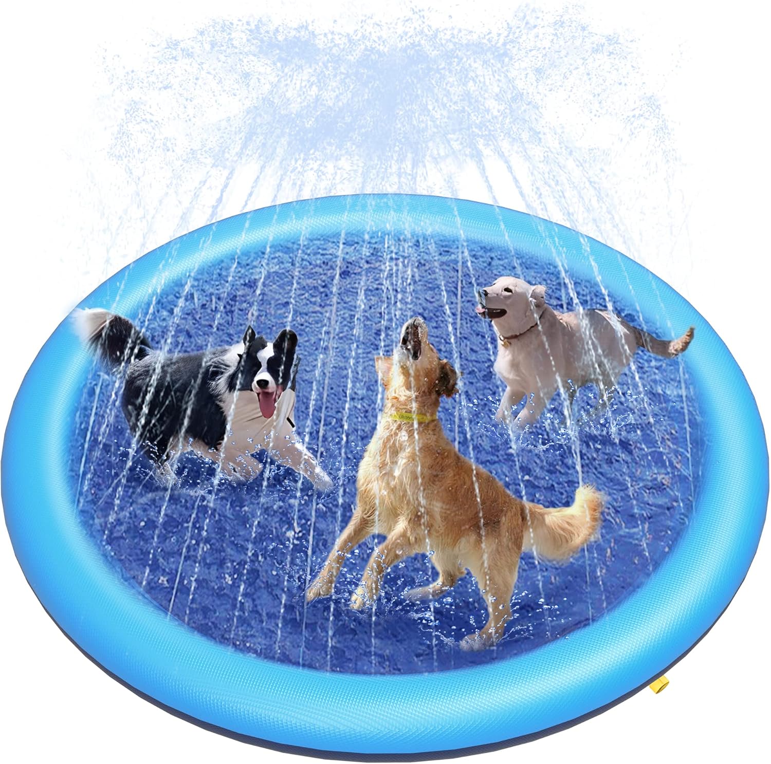 Peteast Splash Pad — dog water toy