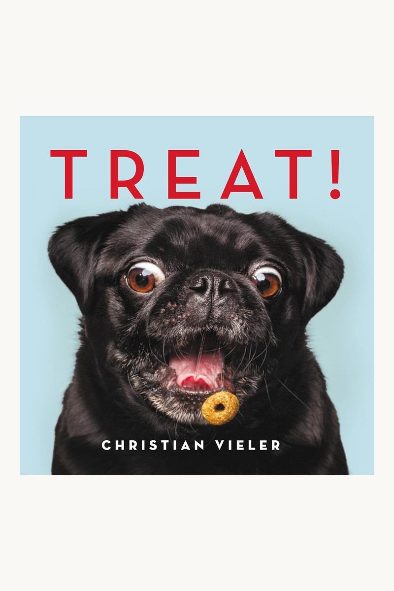 Treat book cover