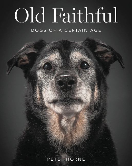 Old Faithful cover