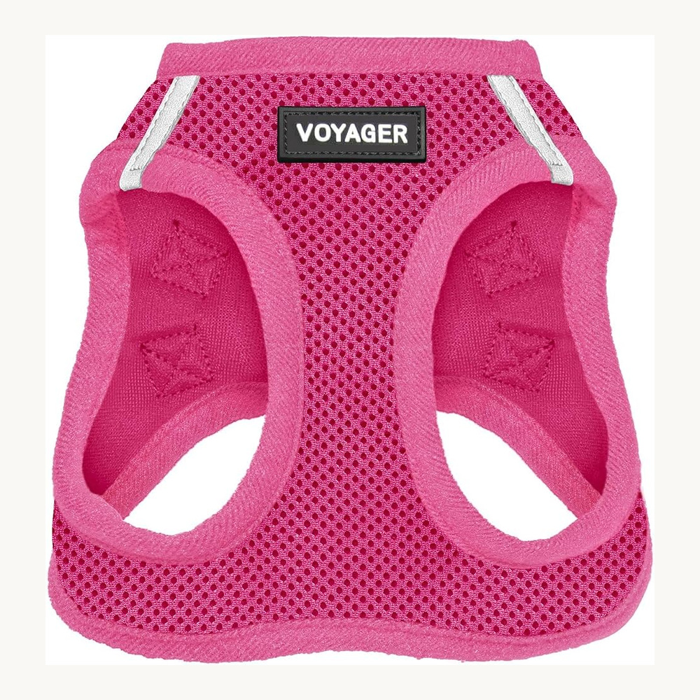 Voyager step-in dog harness