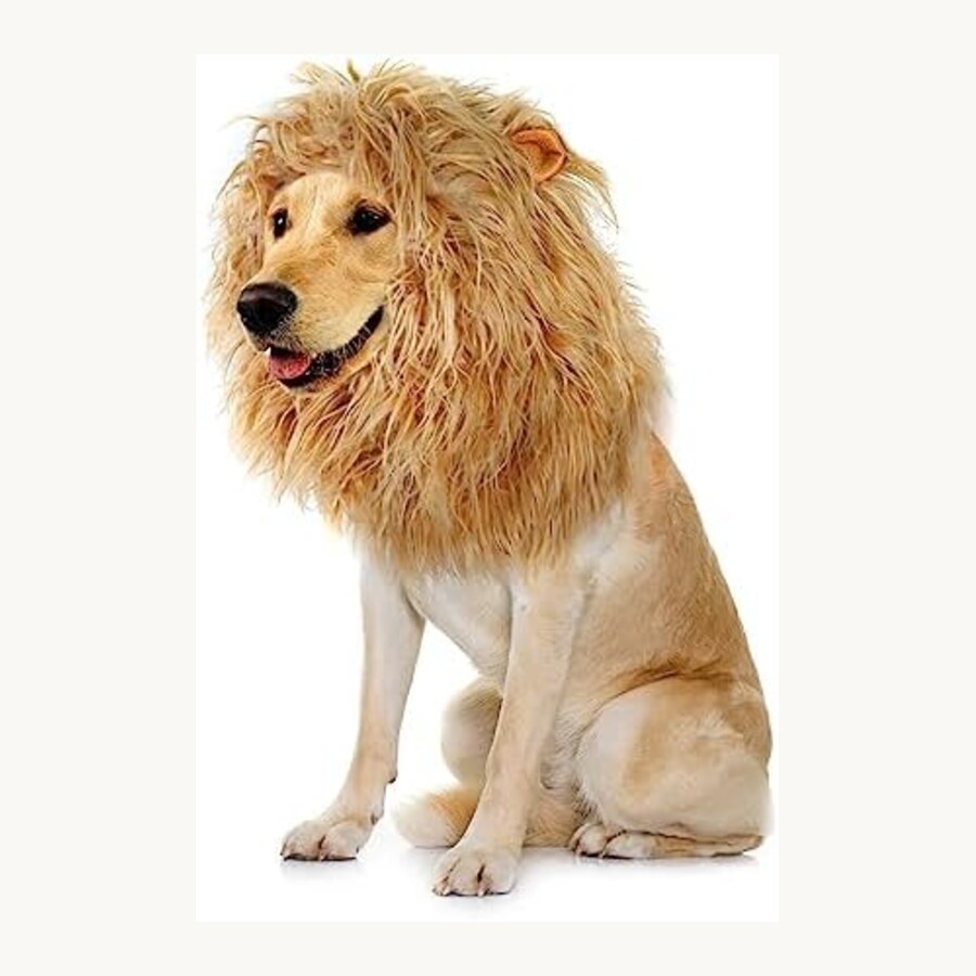 Lion mane dog costume