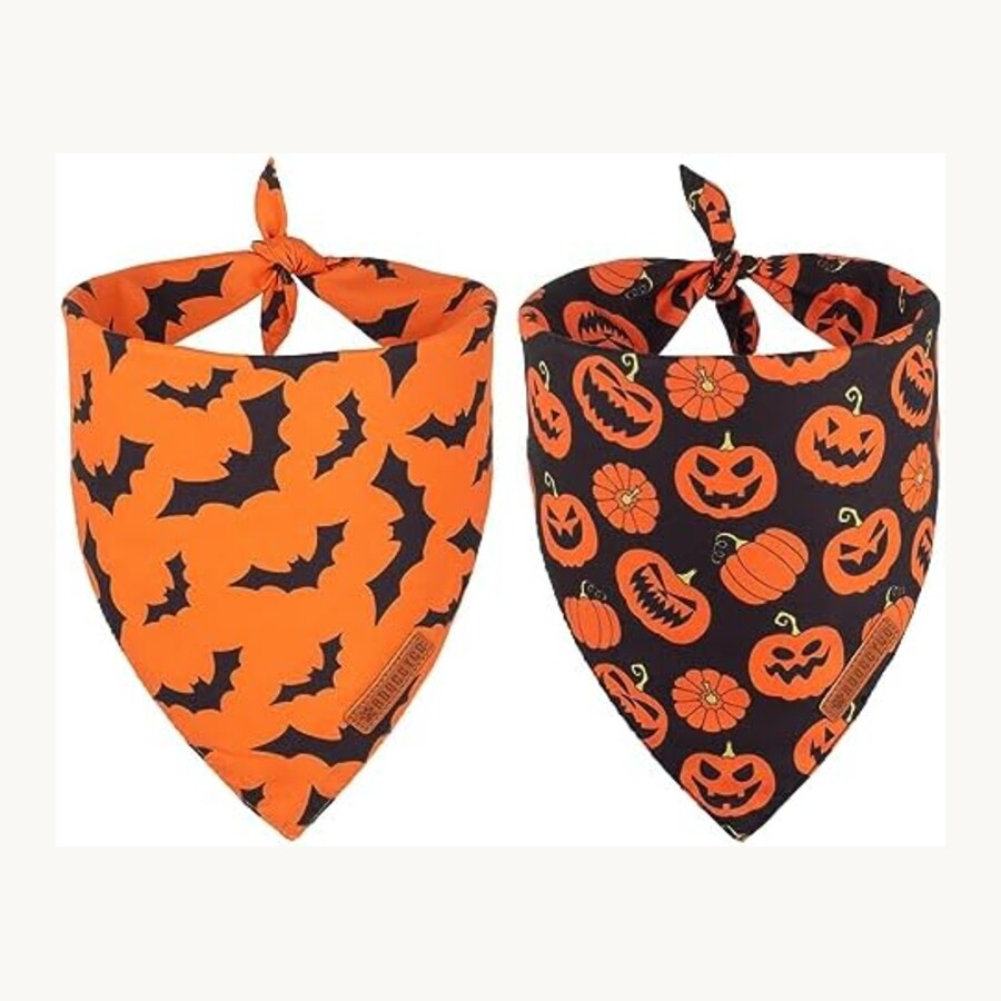 Halloween bandana for dogs