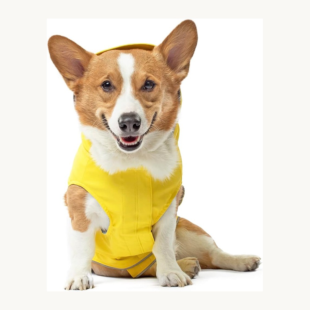 Canada Pooch Torrential Tracker dog raincoat