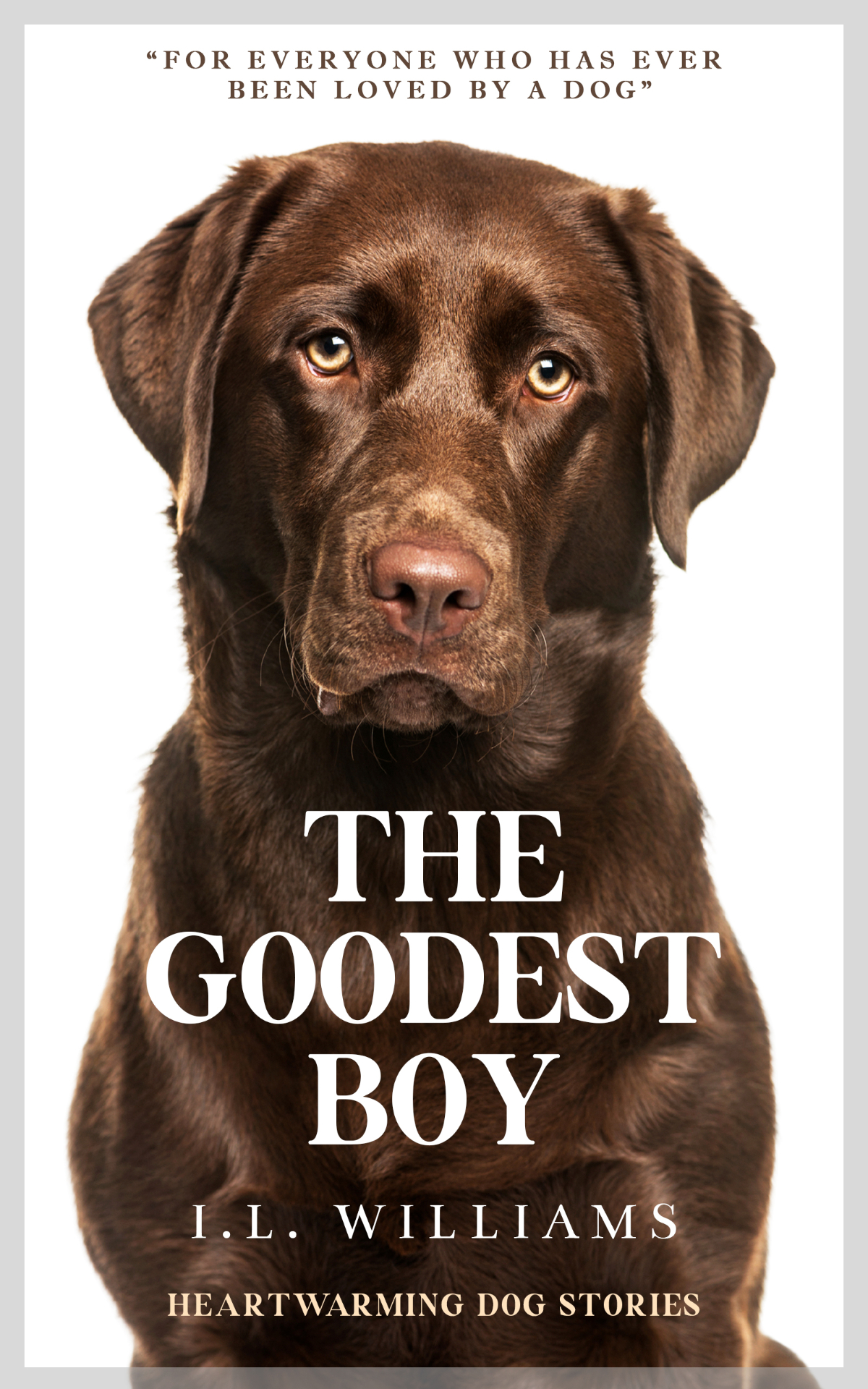 The Goodest Boy — book cover